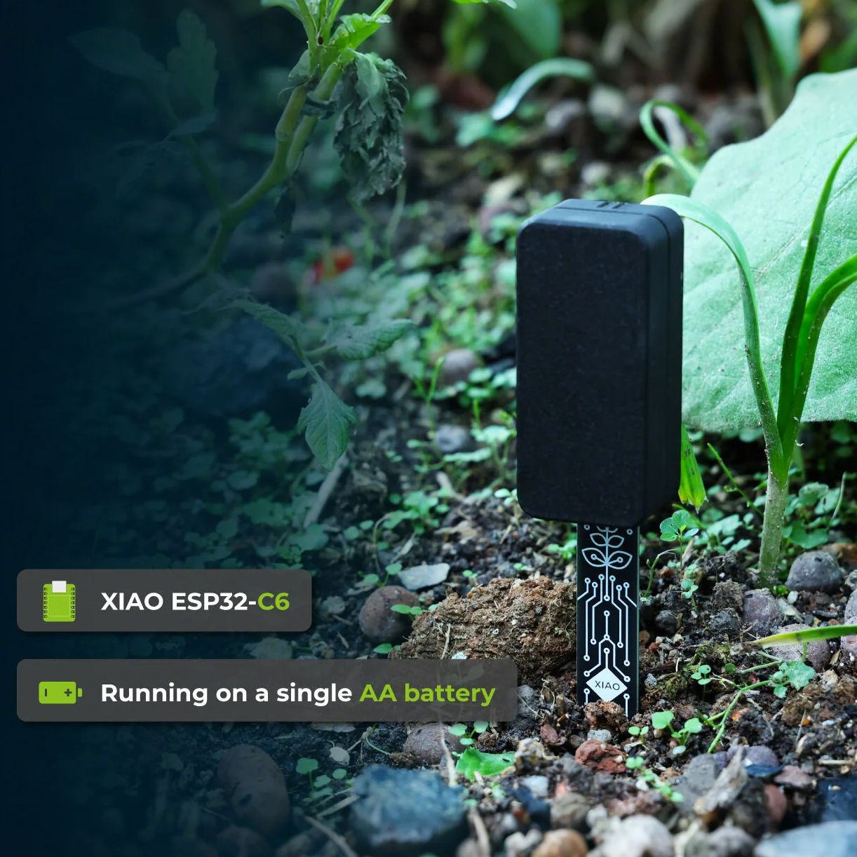 Sensor Kelembapan Tanah XIAO E - Home Automation Tutorial ulasan dan harga